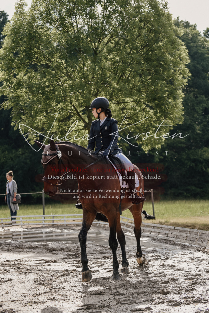 DSC_8548 | Pferde- und Turnierfotografie in Westsachsen. Pferdeportraits, Auftragszeichnungen und intuitive Kunst.