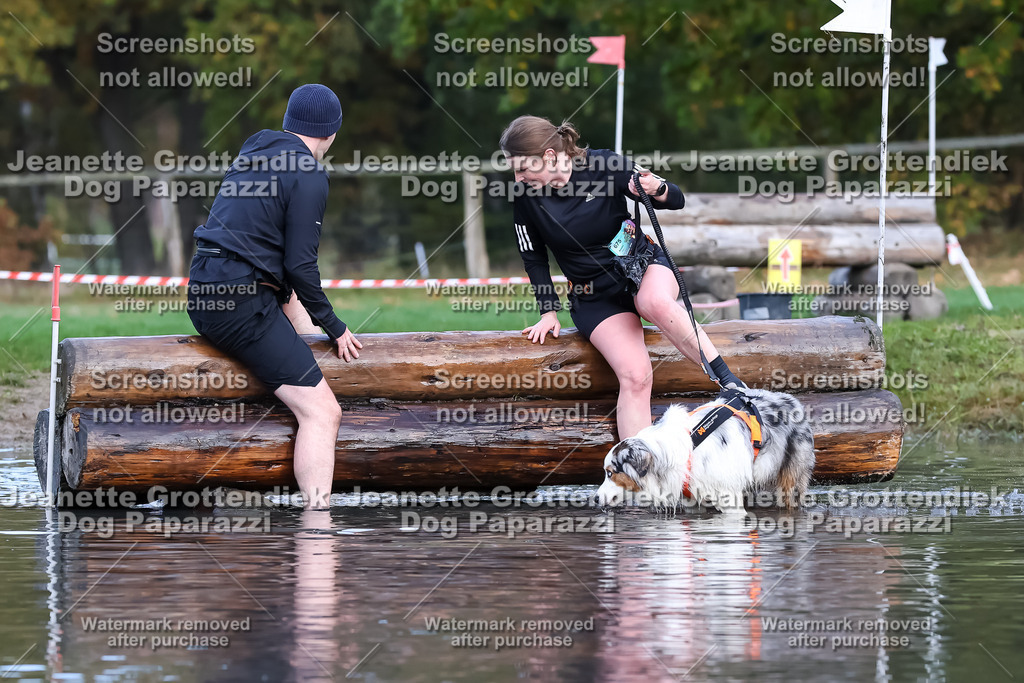 Dog Paparazzi - Strongdog 10-25-6881 | Dog Paparazzi Jeanette Grottendiek Fotografie & Videografie - Realisiert mit Pictrs.com