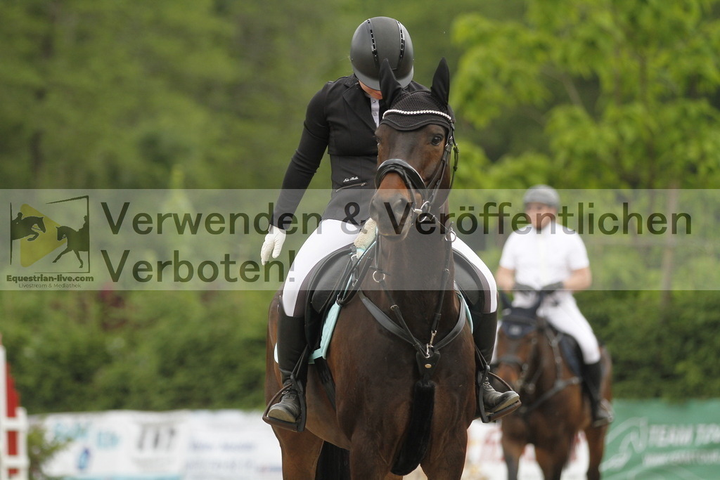 _MG_6404 | equestrian-live-com