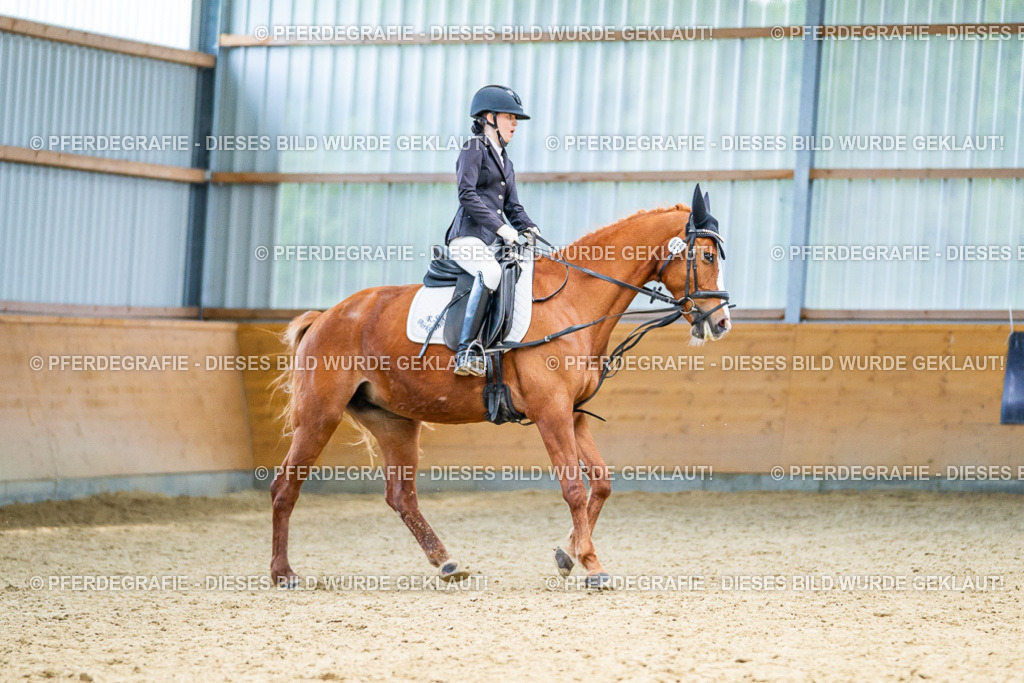 DSC04289 | Pferdegrafie