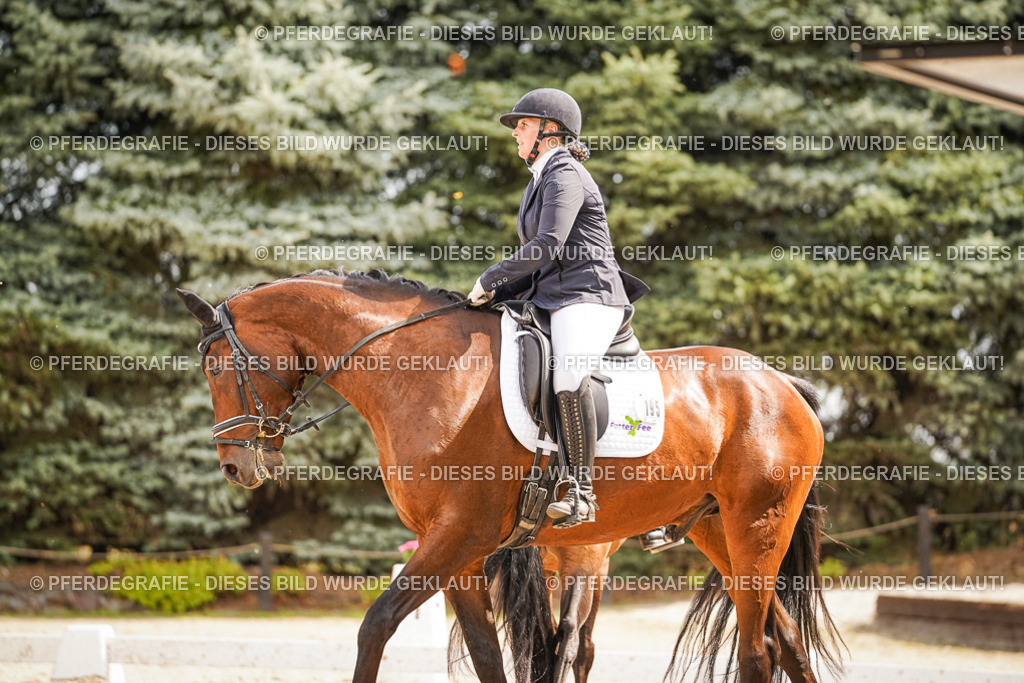 DSC01632 | Pferdegrafie