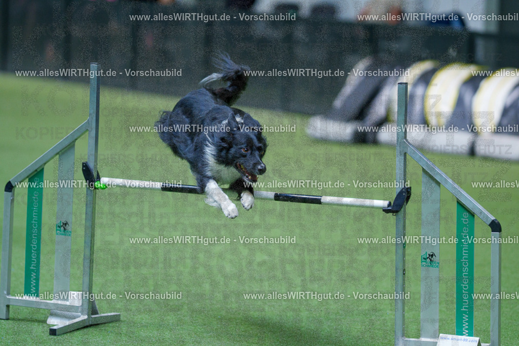 @allesWIRTHgut_Tierfotografie - www.allesWIRTHgut.de - 2604261528-7R505679 | Professionelle Tierfotografie in Mönchengladbach von Daniel Wirth (allesWIRTHgut). Liebevolle & natürliche Bilder von Hunden & Katzen für unvergessliche Erinnerungen.