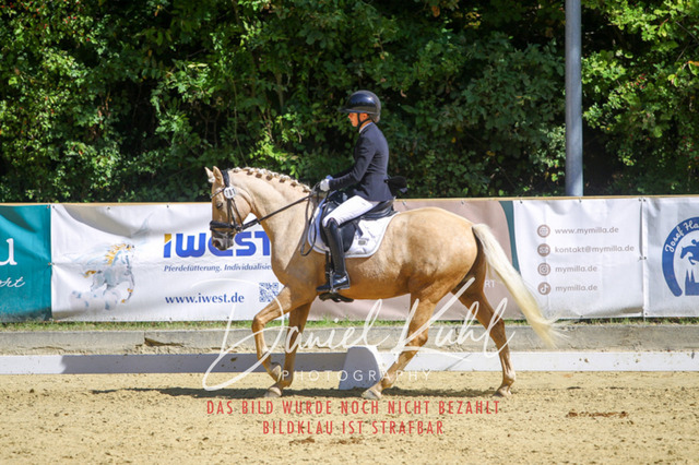 DKP42216 | Turniersportfotografie; Pferdefotografie; Dressurfotografie