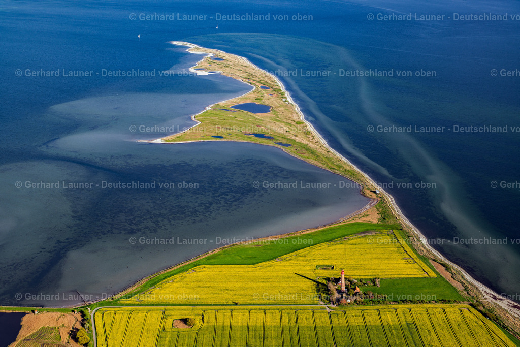 3802231 | Raps-Feldstrukturen am Leuchtturm Flügge, Fehmarn