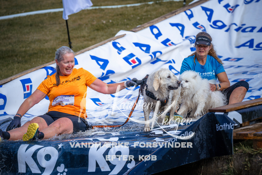 _ZZ973170742 | kk-dogfotos