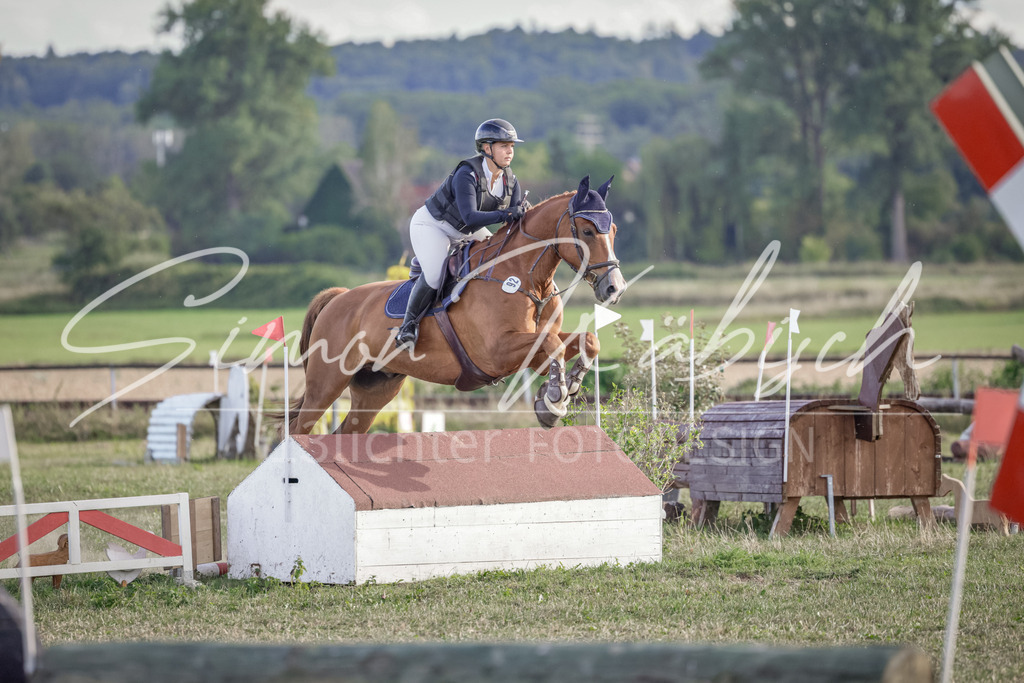20250906-_3LI7428 | Tierfotografie Pferde, Hunde, Katzen, Haustiere.
Turnierfotografie Reitturniere, Reiten, Springreiten, Dressur in Hanau, dem Main-Kinzig-Kreis und dem Rhein-Main- Gebiet um Frankfurt
