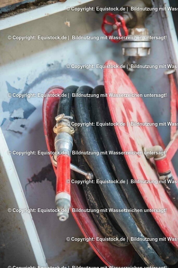 20210530_Feuerl__scher_0005 | Foto: Thomas Hartig