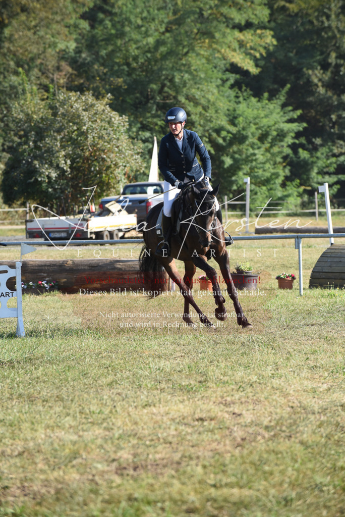 DSC_5179 | Pferde- und Turnierfotografie in Westsachsen. Pferdeportraits, Auftragszeichnungen und intuitive Kunst.