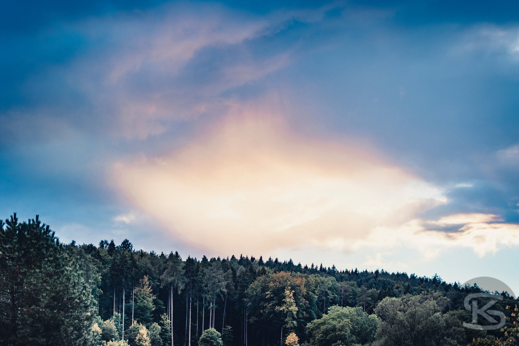 Waldlandschaft unter dramatischem Himmel bei Sonnenuntergang / Sonnenaufgang | Erleben Sie die fesselnde Schönheit dieser Waldlandschaft mit ihrem dichten Waldrand und dem dramatischen Spiel aus Licht und Schatten am Himmel. Die dunklen Wolken werden von hellem Sonnenlicht durchbrochen und schaffen eine einzigartige, stimmungsvolle Atmosphäre. Ein Moment der Ruhe in der Natur. - Realisiert mit Pictrs.com