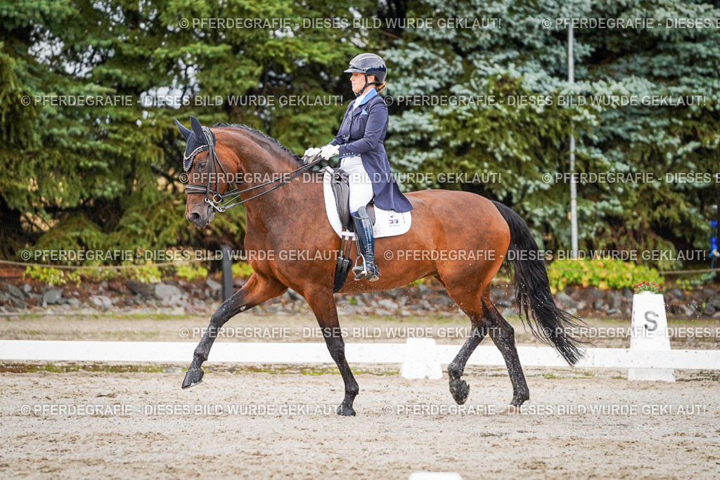 DSC00042 | Pferdegrafie