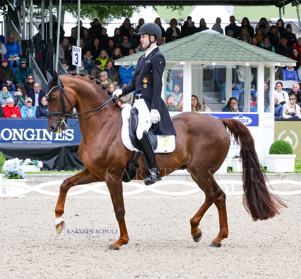 IMG_0115 | Reitsport Reiten