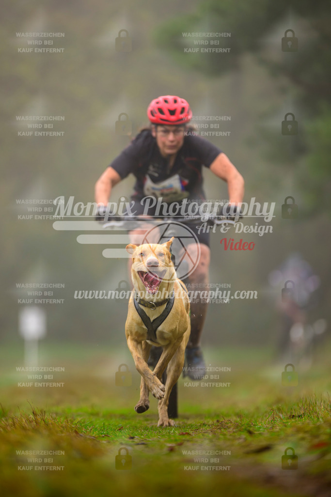 MompixPhotography_Bischwiller2025_Bike-27 | mompixphotography