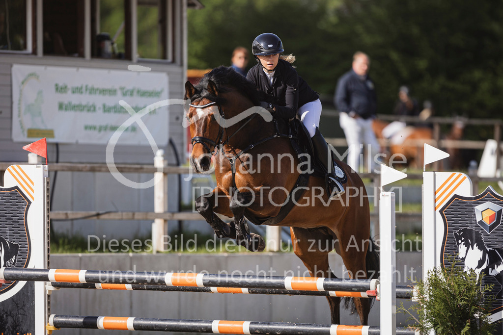 250503_SpengeW_A2-Spr-649 | Deine schönsten Turniermomente als professionelle Fotos! Entdecke hochwertige Pferdesport-Fotografie im Online-Shop. Jetzt Fotos finden & bestellen!