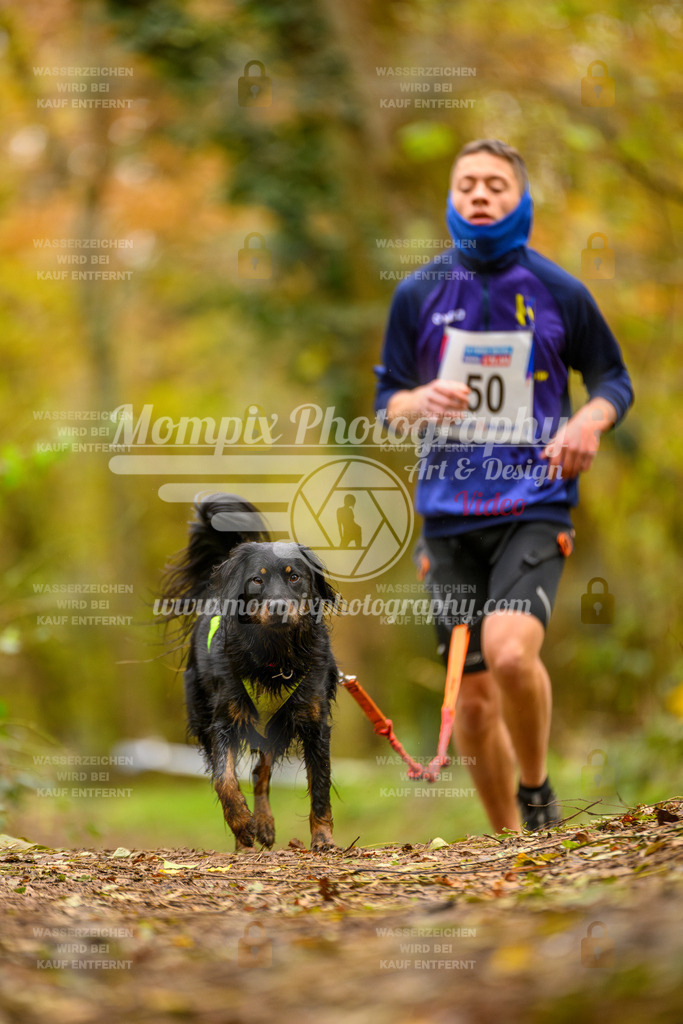 MompixPhotography_Bischwiller24_SA_Canicross-58 | PayLife