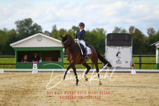 DKP44441 | Turniersportfotografie; Pferdefotografie; Dressurfotografie