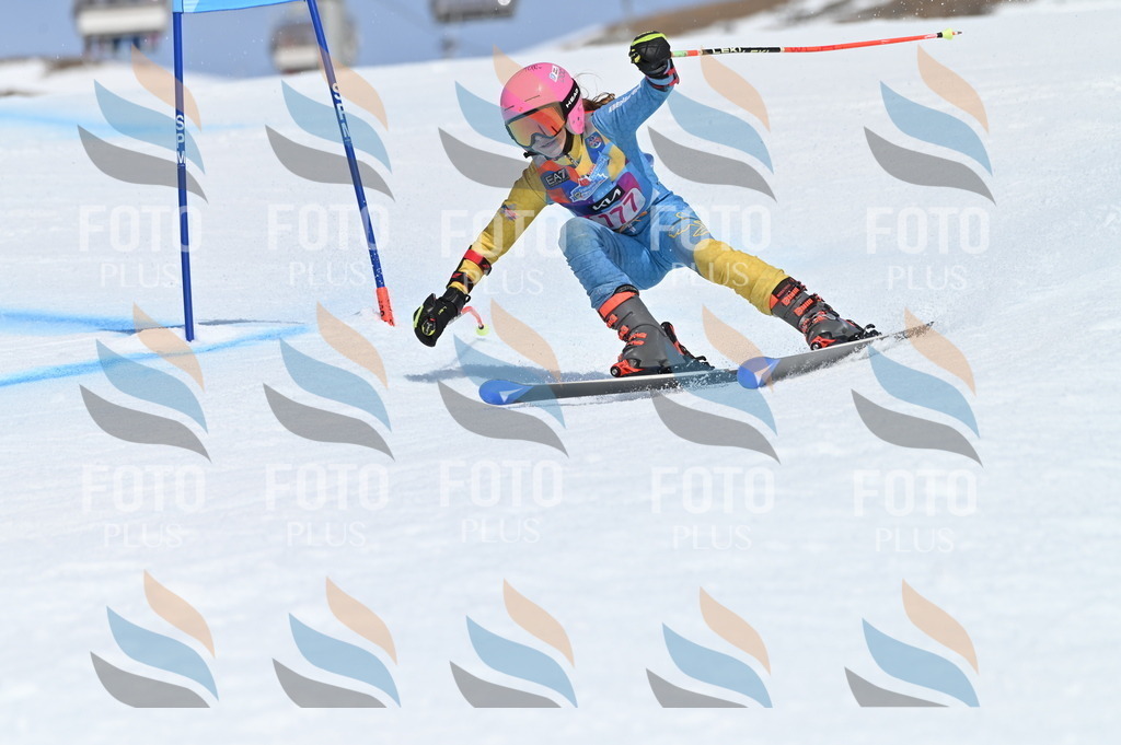 BGV_0559 | holidayphoto