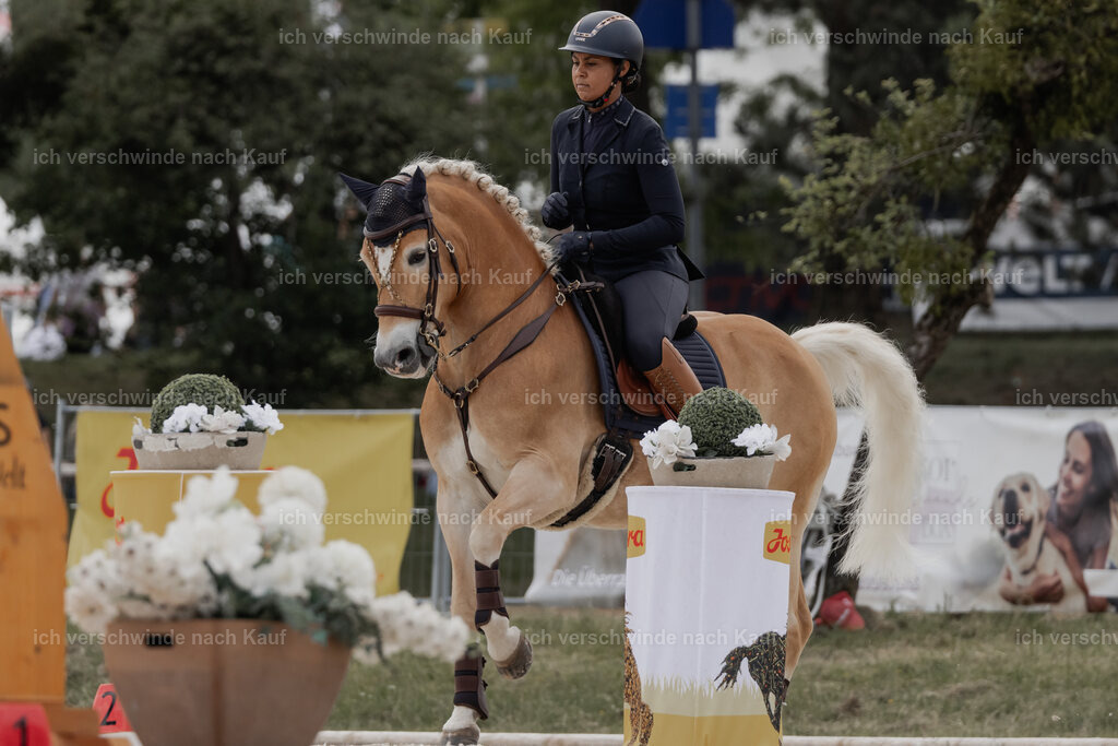 WE_ST_Stoib_308_PI2025_986 | Pferd International München 2025