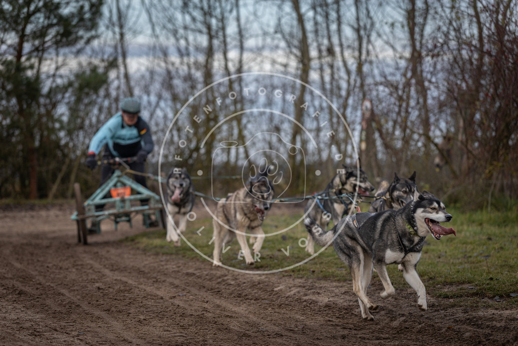 Pfotenfotografie_DV3A5962 | Hundefotografie, Tierfotograf, Pfotenfotografie, Fotoshooting Hund, Hunde Portrait, Hundesport, Hundeportraits, Heideshooting, Hunde, Sportfotograf, Hundefotograf, Turnierhundsport, THS,  - Realisiert mit Pictrs.com