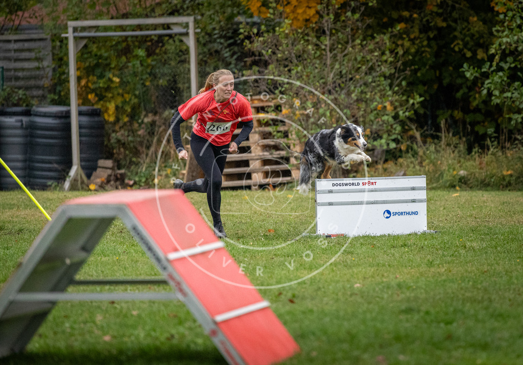 Pfotenfotografie_DV3A1146 | Hundefotografie, Tierfotograf, Pfotenfotografie, Fotoshooting Hund, Hunde Portrait, Hundesport, Hundeportraits, Heideshooting, Hunde, Sportfotograf, Hundefotograf, Turnierhundsport, THS,  - Realisiert mit Pictrs.com