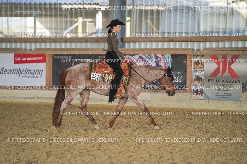 DSC09153 | Pferdegrafie