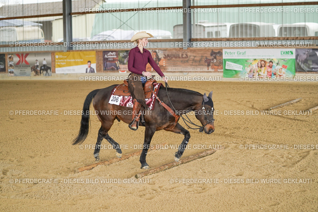 DSC03760 | Pferdegrafie