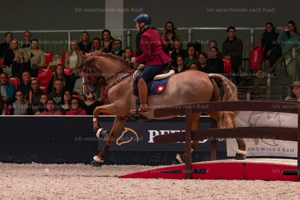 JoseraCup-152 | working equitationturnier fotograf videograf stoibphotography marixx film working equitation deutschland reitsport turnierfotografie eventfotografie equestrian events