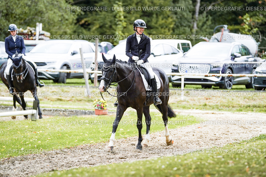 DSC06127 | Pferdegrafie