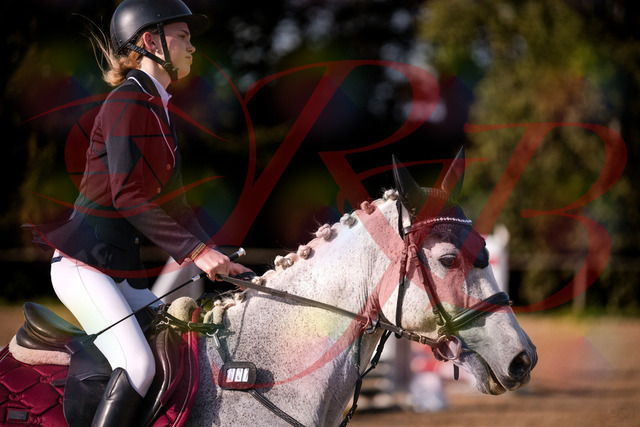 2026_10_03_Siefer-Hof_155118_Z81_70101076 | Professionelle Reitsport-, Turnier- und Eventfotografie von Robert Broda. Galerien mit ausgewählten und bearbeiteten Bildern direkt online ansehen und bestellen.