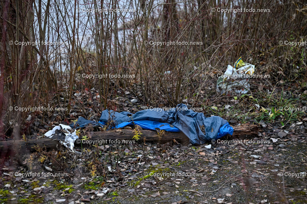 Muell_ Mist_ 11.12.2024-16 | 11.12.2024, Linz, AUT, Muell, Mist, im Bild Unachtsam weggeworfener Muell im Wald, Augebiet, Abfall, Gift, Straeucher, Gebuesch, Weg, Restmuell, Ablage, Illegal