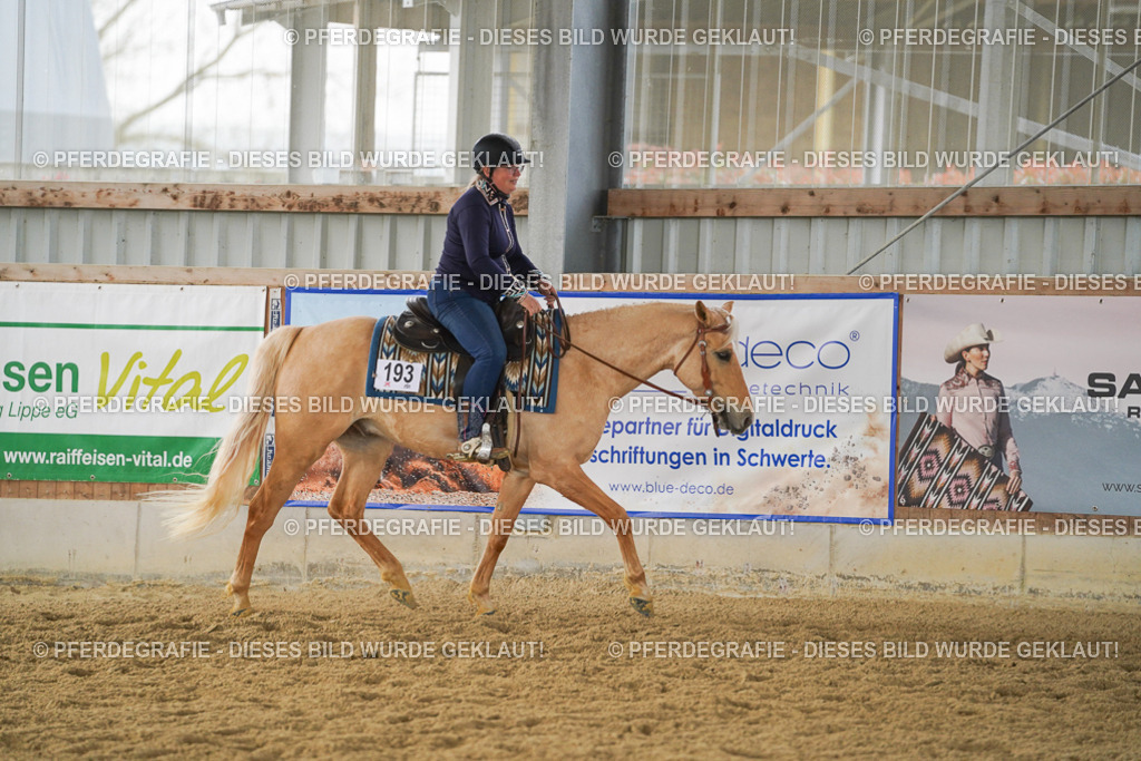 DSC06373 | Pferdegrafie