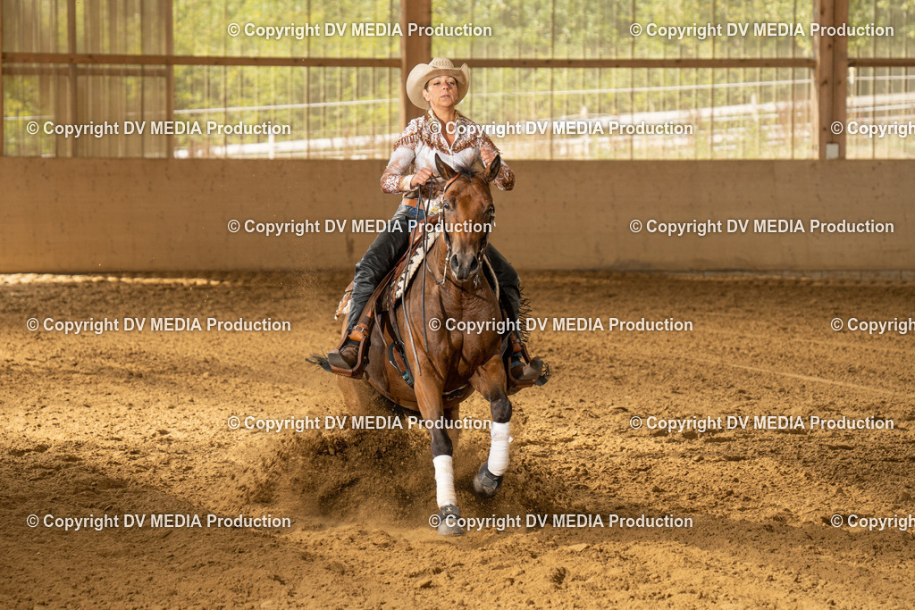 LAU01524 | dv-media-shop - Realisiert mit Pictrs.com