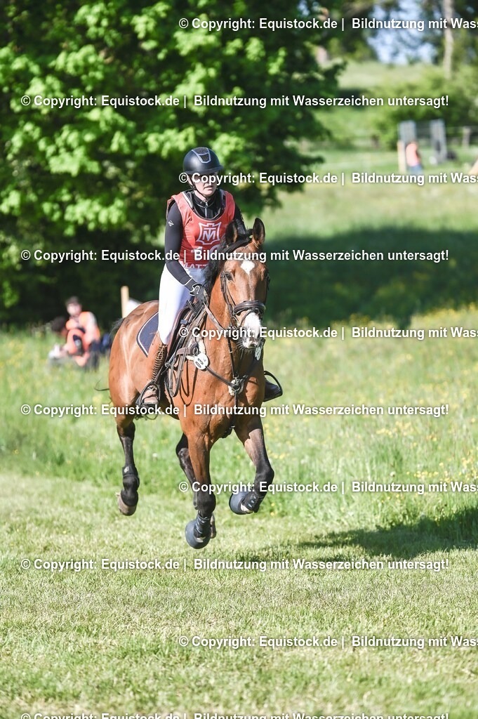 20250517_CCI2_Gelände_0426 | Foto: Thomas Hartig
