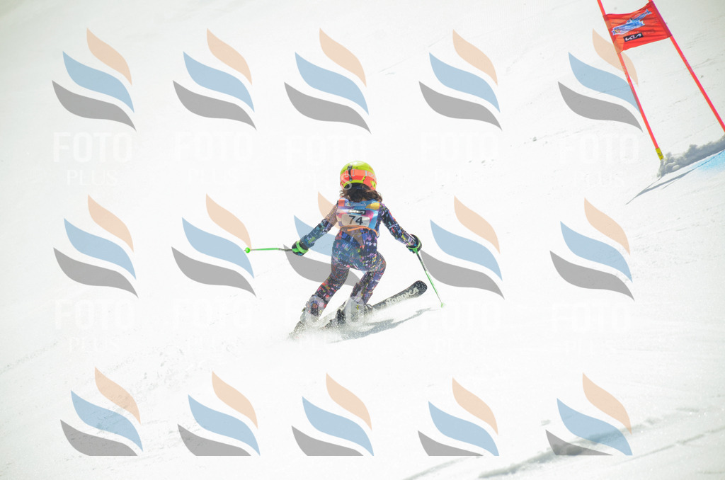 _ELE5482 | holidayphoto