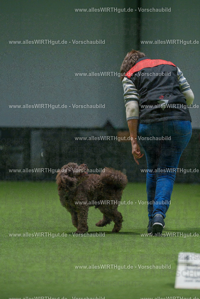 7R508344 | Professionelle Tierfotografie in Mönchengladbach von Daniel Wirth (allesWIRTHgut). Liebevolle & natürliche Bilder von Hunden & Katzen für unvergessliche Erinnerungen.