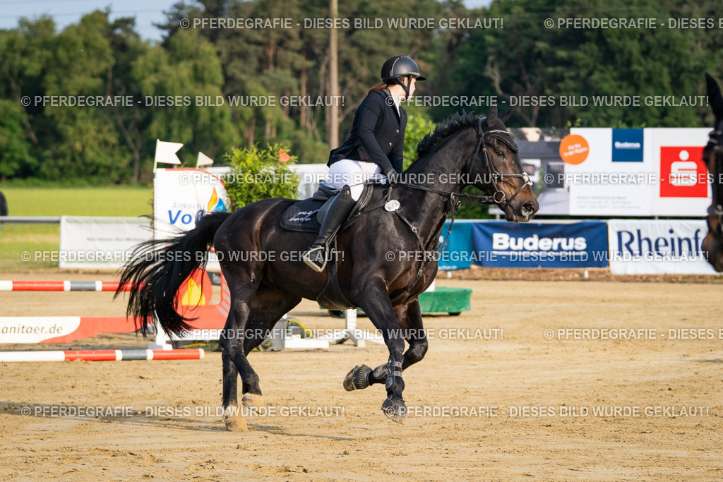 DSC02122 | Pferdegrafie