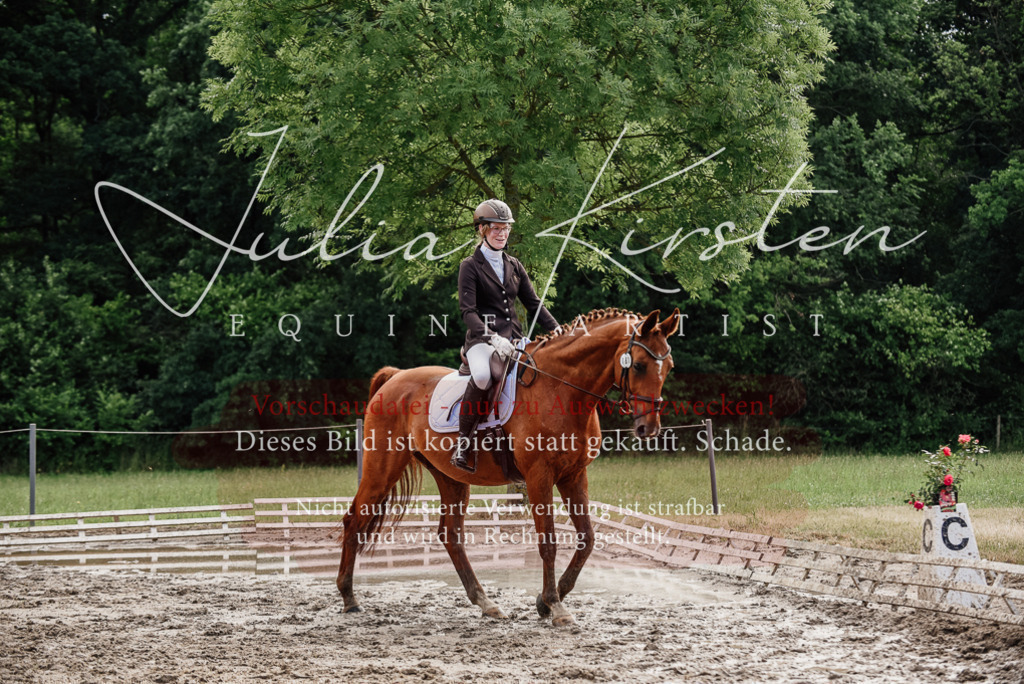 DSC_9687 | Pferde- und Turnierfotografie in Westsachsen. Pferdeportraits, Auftragszeichnungen und intuitive Kunst.