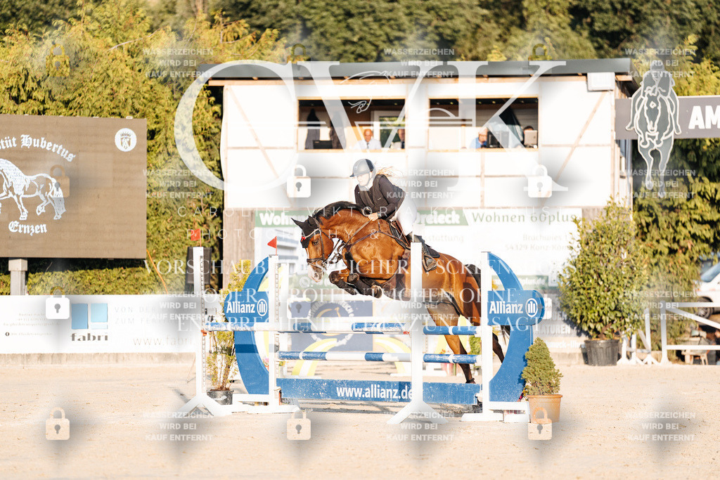 CK901014 | Turnierfotografie Pferdefotografie Trier Rheinland-Pfalz Pferdesport Reitsport Tierfotografie Sportfotografie Pferdevideo Pferdevideografie Equestrianvideography equestrianphotography  - Realisiert mit Pictrs.com