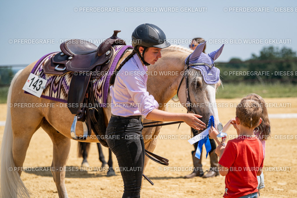 DSC01406 | Pferdegrafie