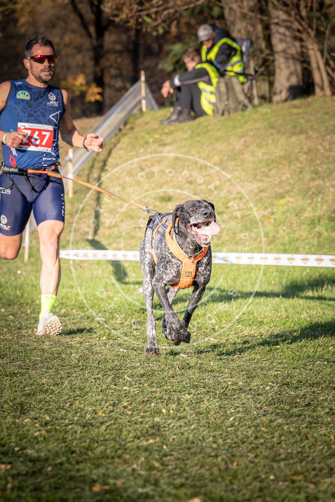 CaniXpix_0L8A0061 | Hundefotografie, Tierfotograf, Pfotenfotografie, Fotoshooting Hund, Hunde Portrait, Hundesport, Hundeportraits, Heideshooting, Hunde, Sportfotograf, Hundefotograf, Turnierhundsport, THS,  - Realisiert mit Pictrs.com
