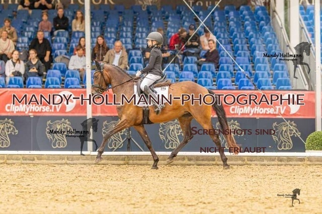 28-8-26 5j DRE-705 | mandyhollmannphotographie