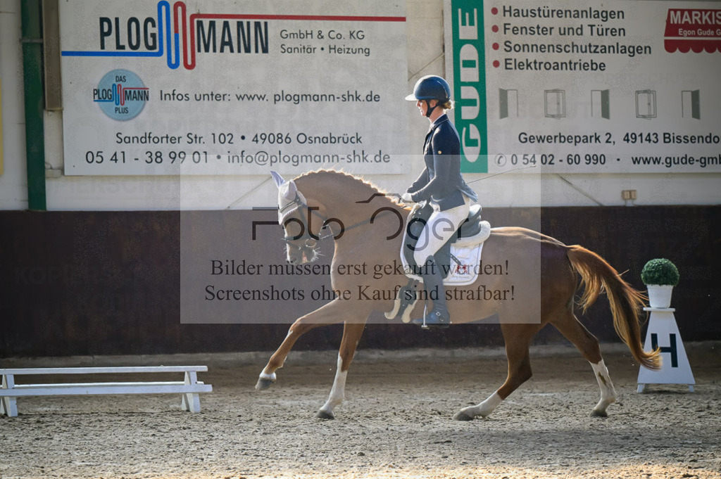 Reitturnier Voxtrup | Entdecke hochwertige Reitturnierfotos von Foto Oger. Professionell, emotional und authentisch – jetzt Lieblingsmomente im Shop bestellen.Deutschlandweite Turnierfotografie. - Realisiert mit Pictrs.com