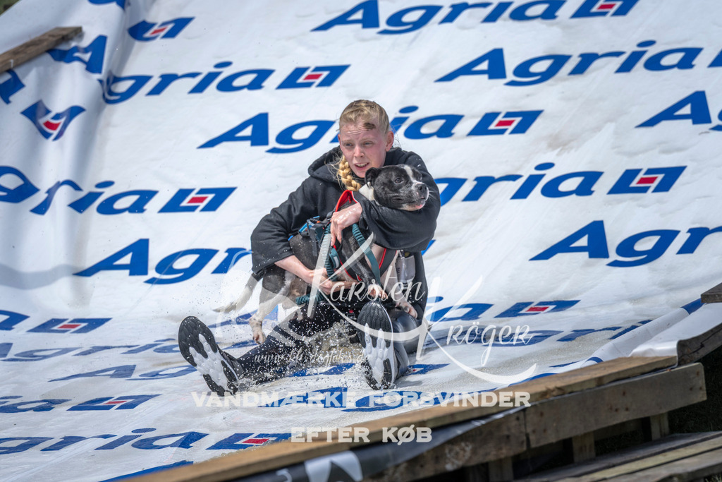 1227_ZZ97478 | kk-dogfotos