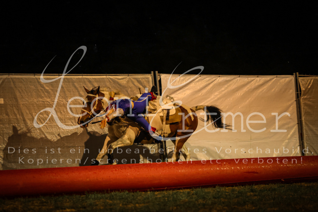 SaShow00370 | Leoni Ertmer Photography - Realisiert mit Pictrs.com