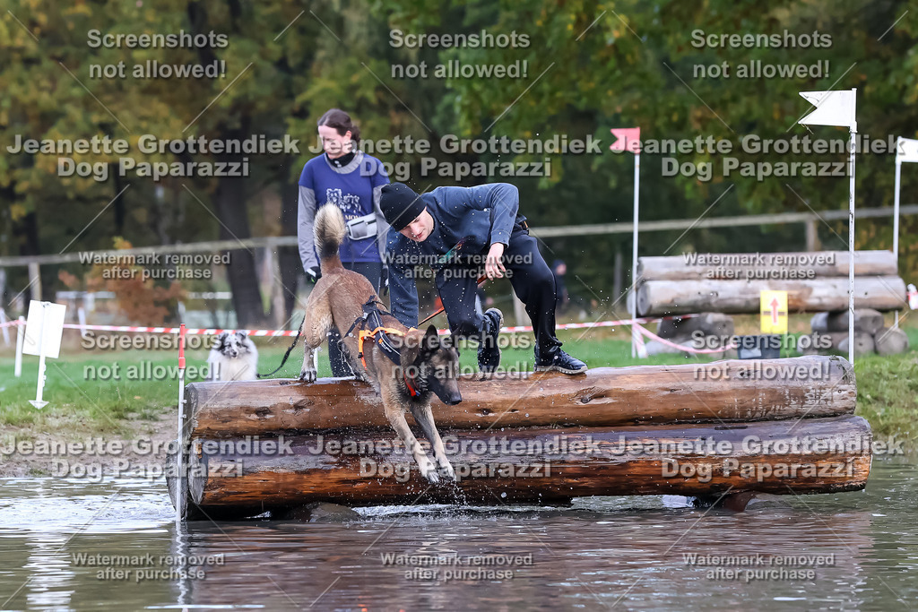 Dog Paparazzi - Strongdog 10-25-6598 | Dog Paparazzi Jeanette Grottendiek Fotografie & Videografie