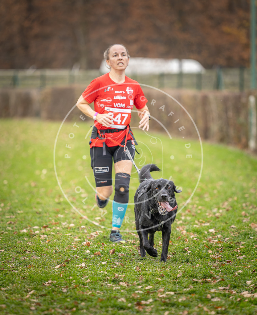 CaniXpix_DV3A6513 | Hundefotografie, Tierfotograf, Pfotenfotografie, Fotoshooting Hund, Hunde Portrait, Hundesport, Hundeportraits, Heideshooting, Hunde, Sportfotograf, Hundefotograf, Turnierhundsport, THS,  - Realisiert mit Pictrs.com