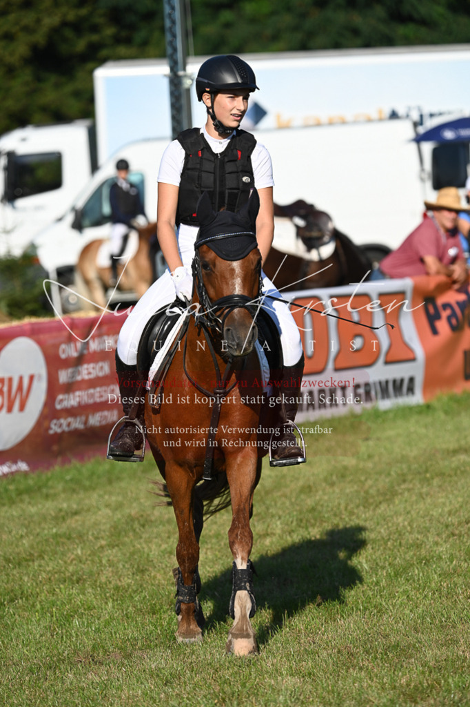 DSC_4792 | Pferde- und Turnierfotografie in Westsachsen. Pferdeportraits, Auftragszeichnungen und intuitive Kunst.