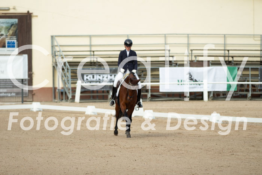 IMG_0381 | Creatify Fotografie