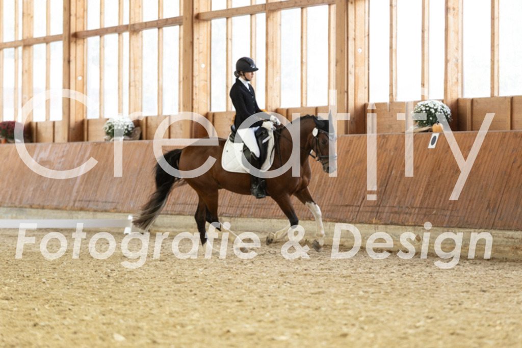 IMG_6080 | Creatify Fotografie