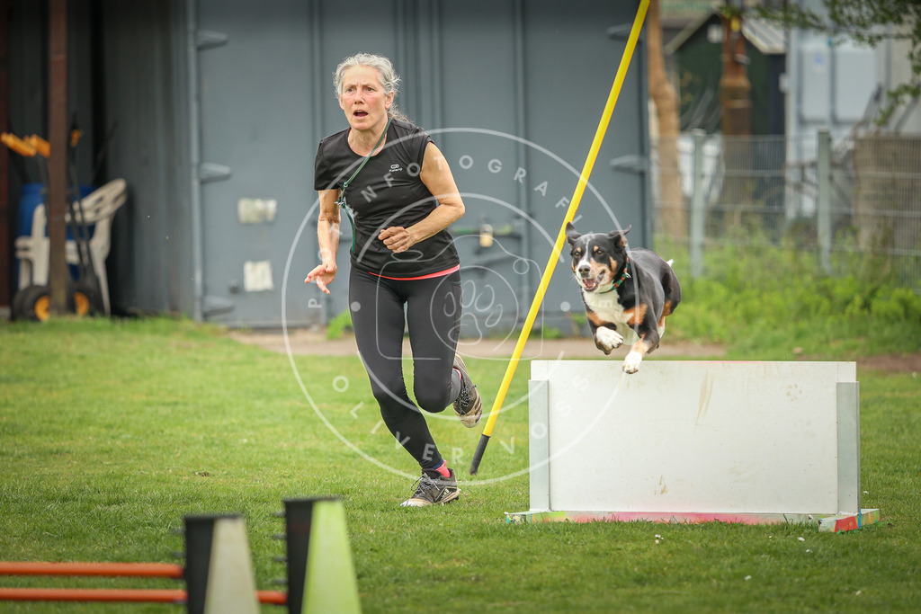Pfotenfotografie_0L8A0061 | Hundefotografie, Tierfotograf, Pfotenfotografie, Fotoshooting Hund, Hunde Portrait, Hundesport, Hundeportraits, Heideshooting, Hunde, Sportfotograf, Hundefotograf, Turnierhundsport, THS,  - Realisiert mit Pictrs.com