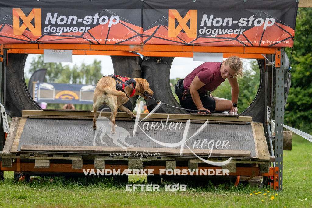 1154_ZZ93202 | kk-dogfotos